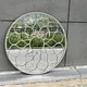 garden wall mirror